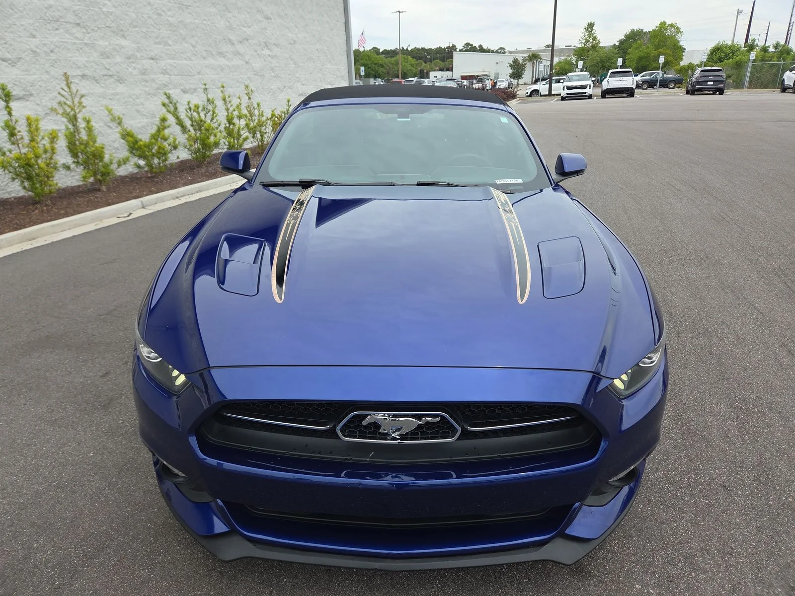 Used 2015 Deep Impact Blue Metallic Ford GT Premium image 8