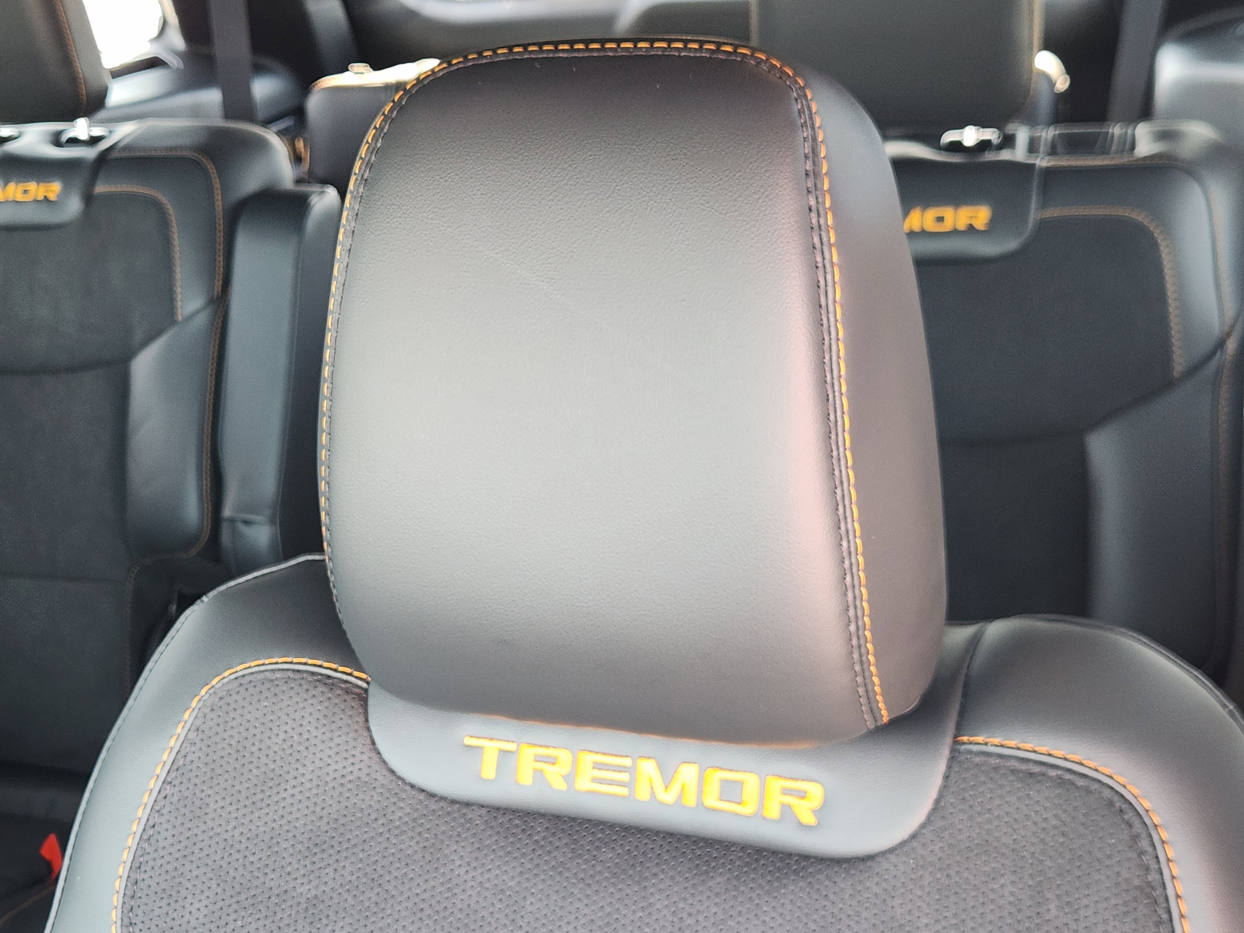 New 2026 Marsh Gray Ford Tremor image 16