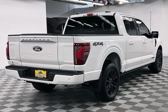 2025 Ford F-150 Platinum - Photo 12