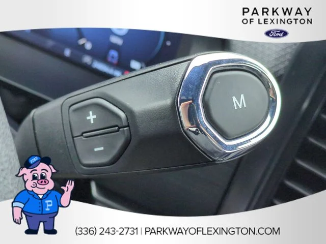Used 2025 White Ford STX image 24