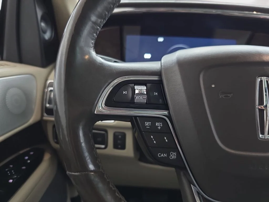 Used 2018 Velvet Lincoln Reserve image 19