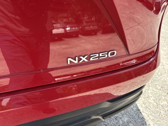 2024 Lexus NX 250 - Photo 25