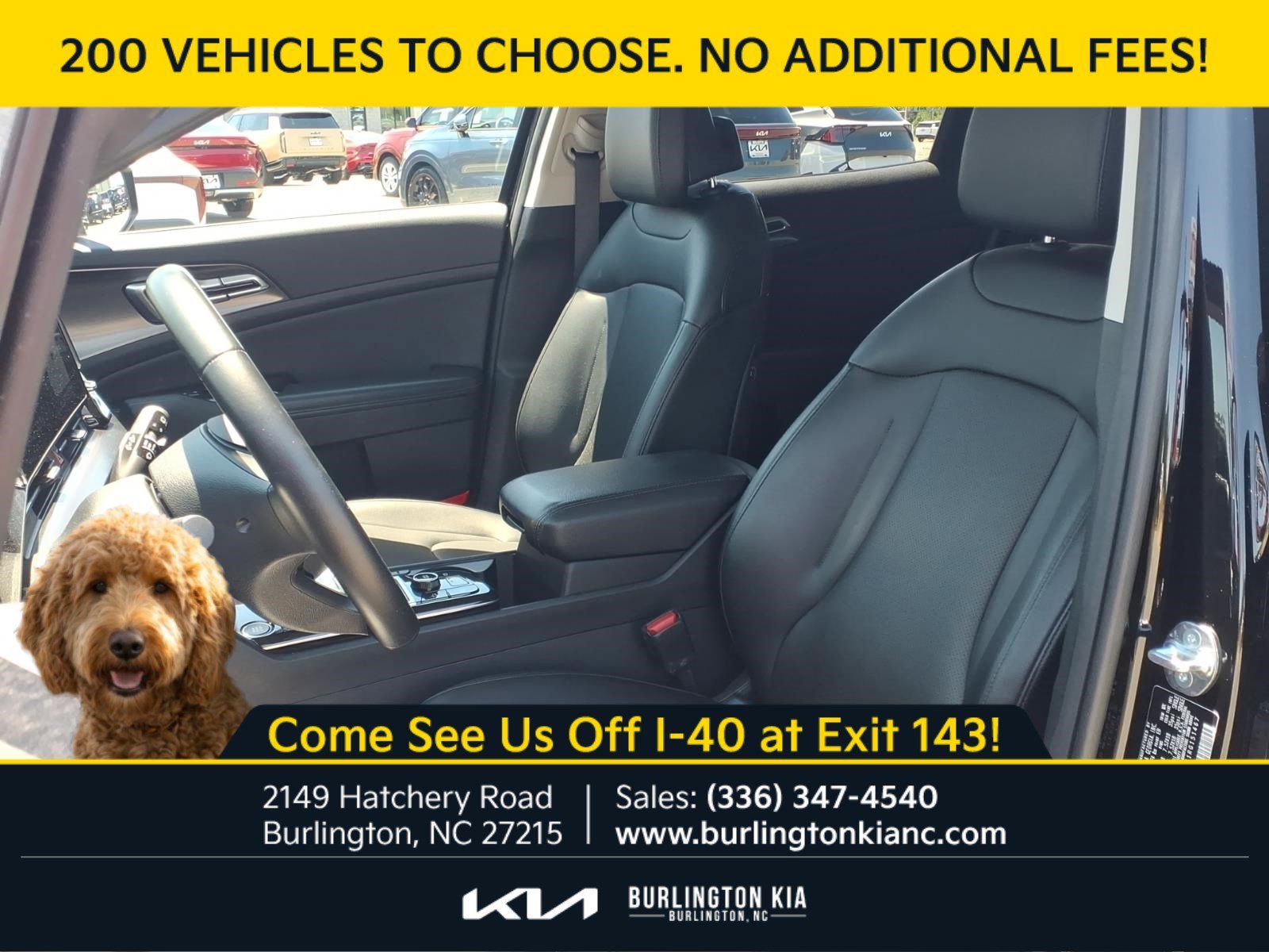 Certified Used 2024 Ebony Black Kia EX image 2