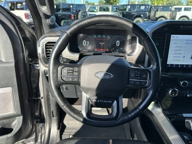 Used 2021 Gray Ford Platinum image 15