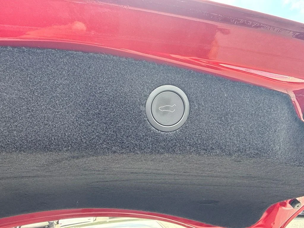 Used 2024  Tesla Base image 34
