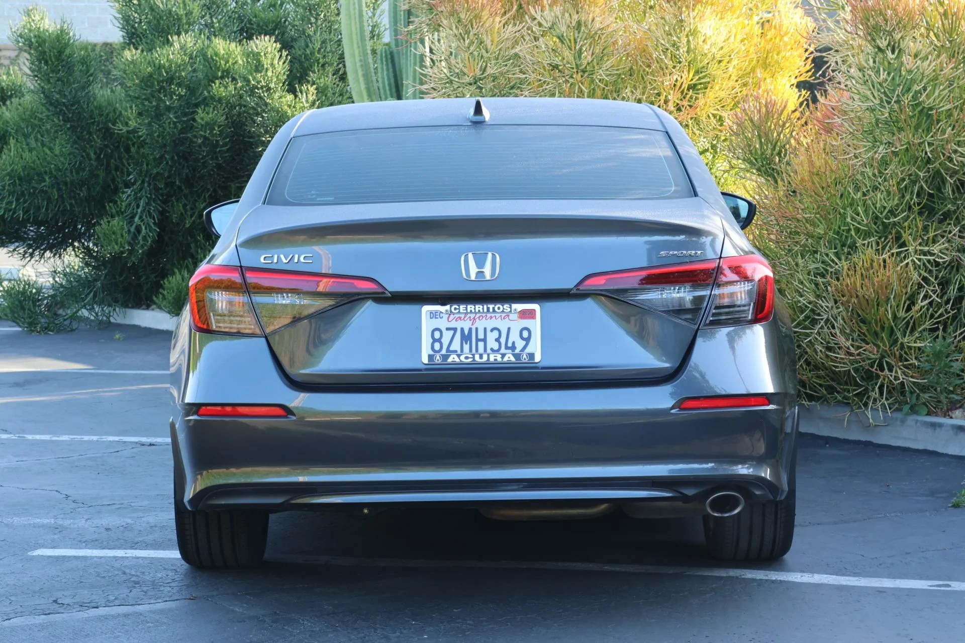 Used 2022 Black Honda Sport image 4