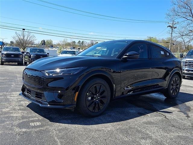 New 2026 Shadow Black Ford Premium image 22
