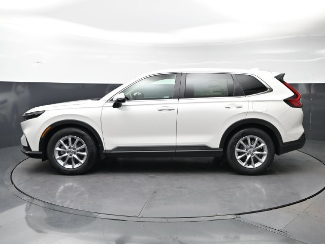 New 2027 Platinum White Pearl Honda EX image 8