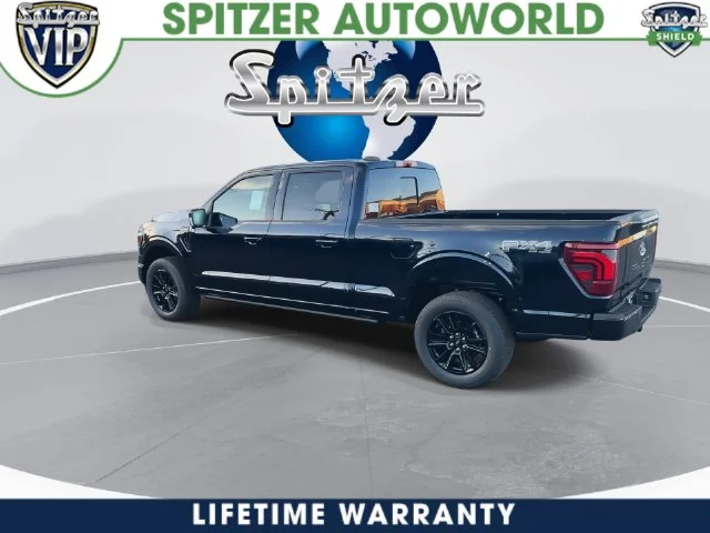 New 2026 Blue Ford Platinum image 9
