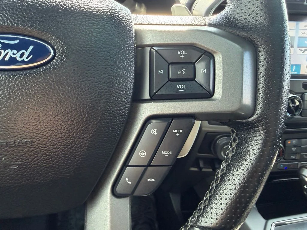 Used 2018  Ford Raptor image 40