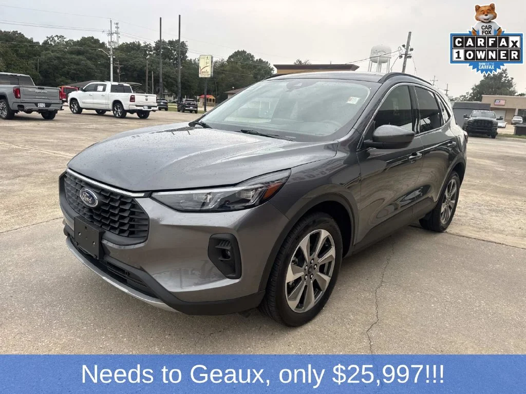 Used 2025 Gray Ford Platinum image 3
