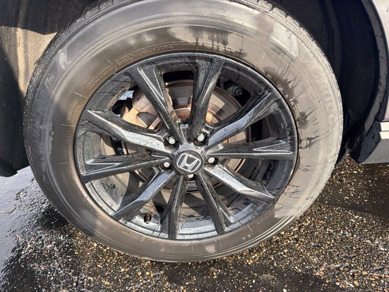 Used 2024 Blue Honda Sport image 9