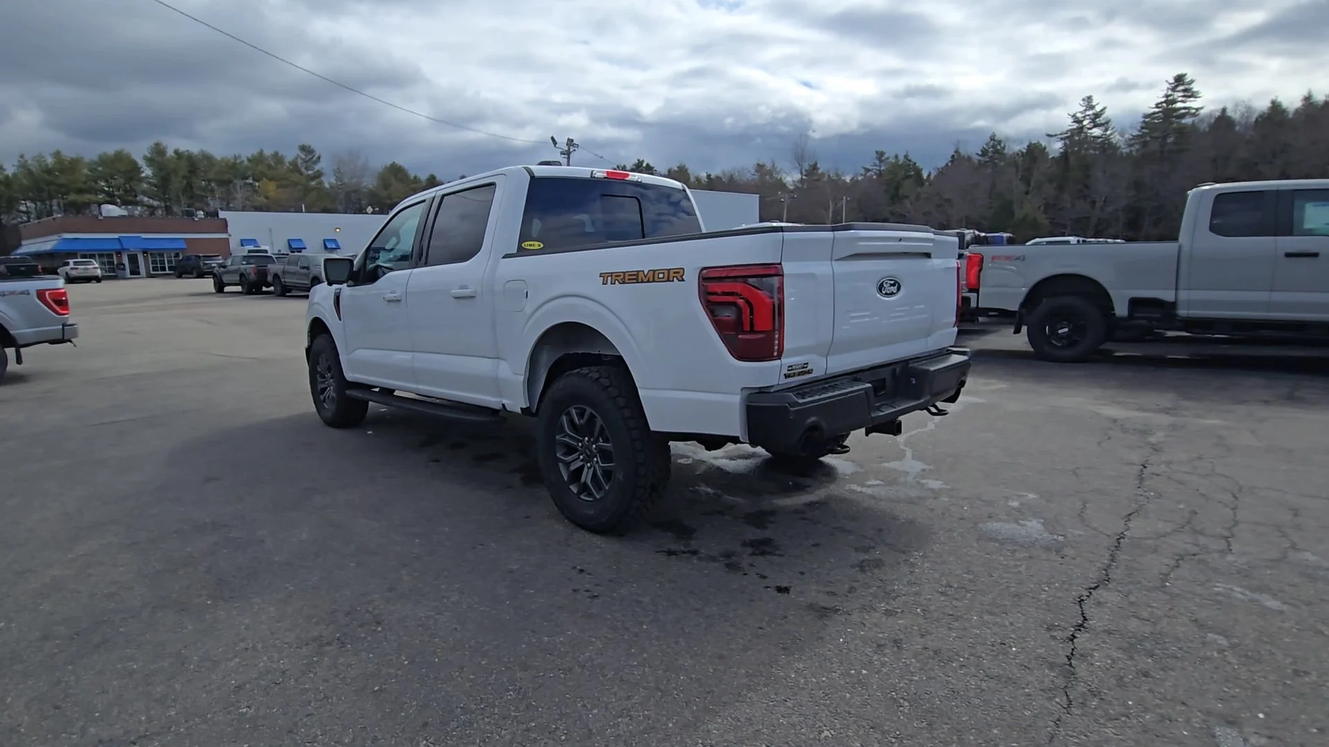 2025 Ford F-150 Tremor - Photo 18