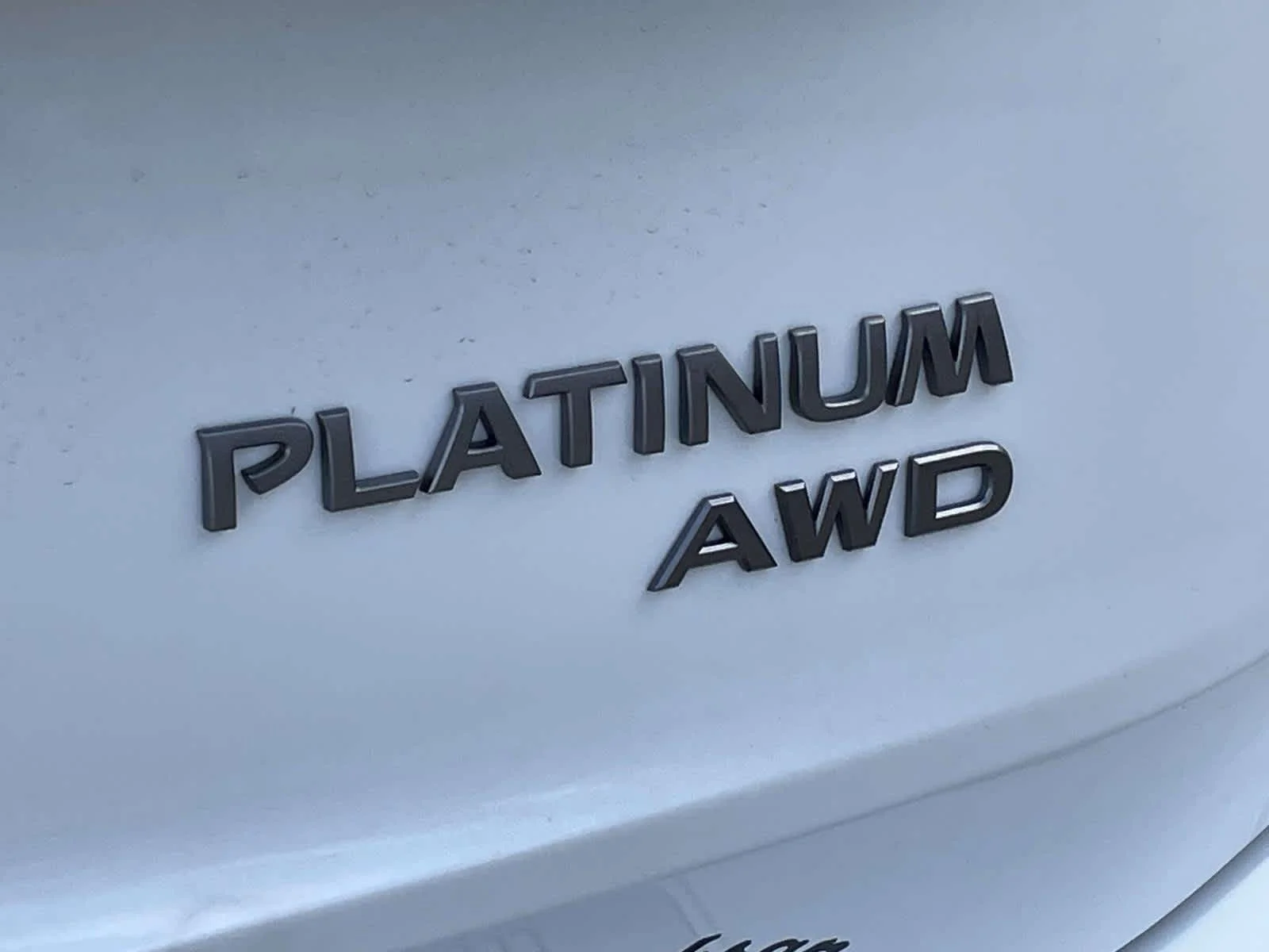 New 2026 Everest White Pearl/Super Black Nissan Platinum image 14