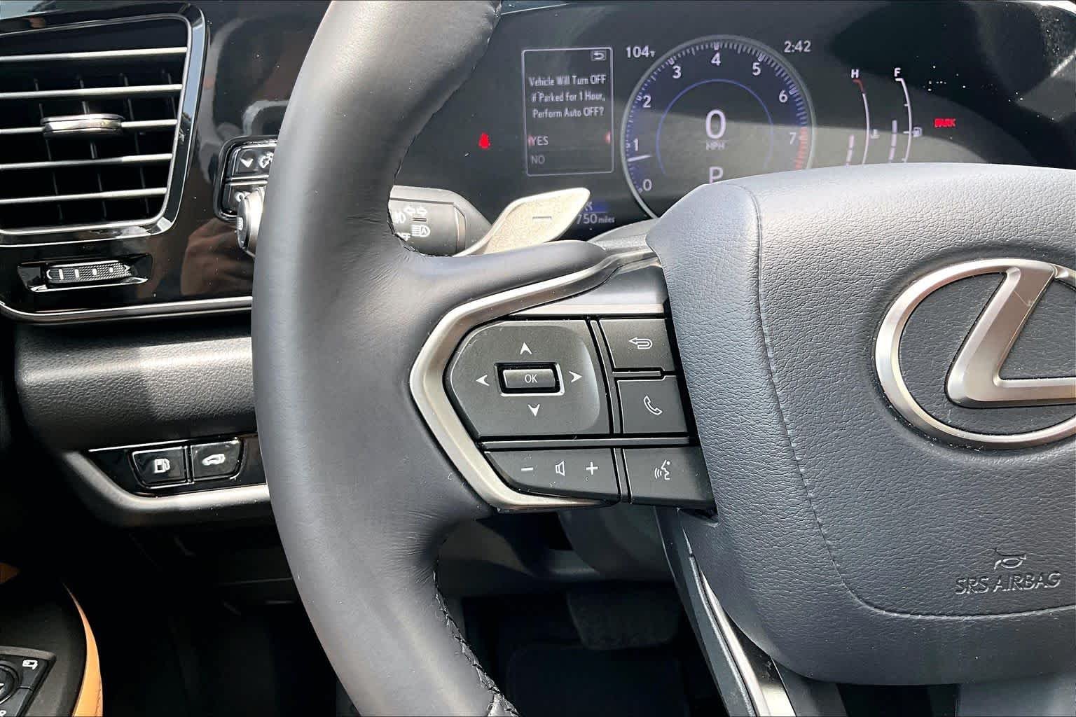 Used 2024 Cloudburst Gray Lexus Premium image 22