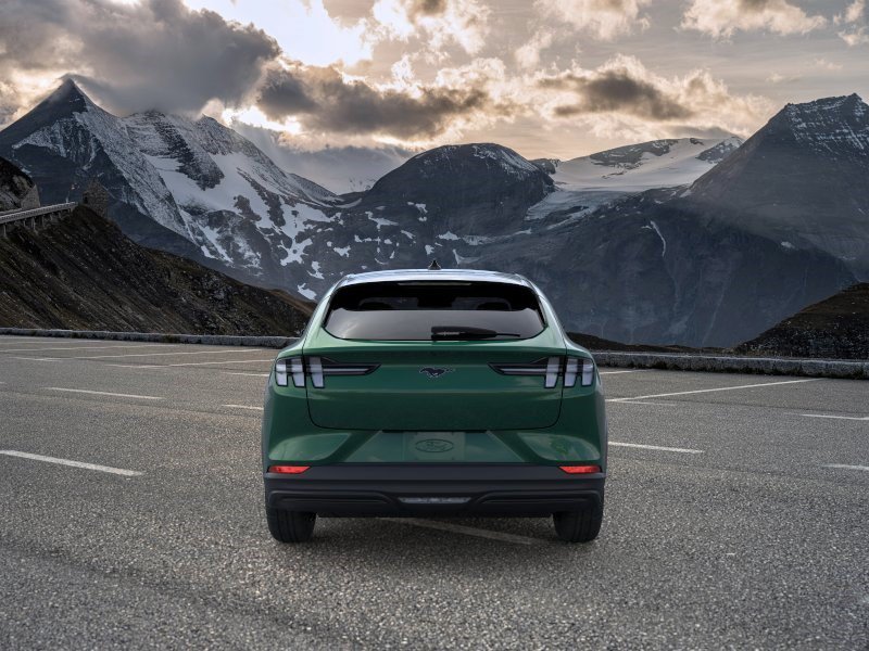 New 2026 Eruption Green Metallic Ford Premium image 5