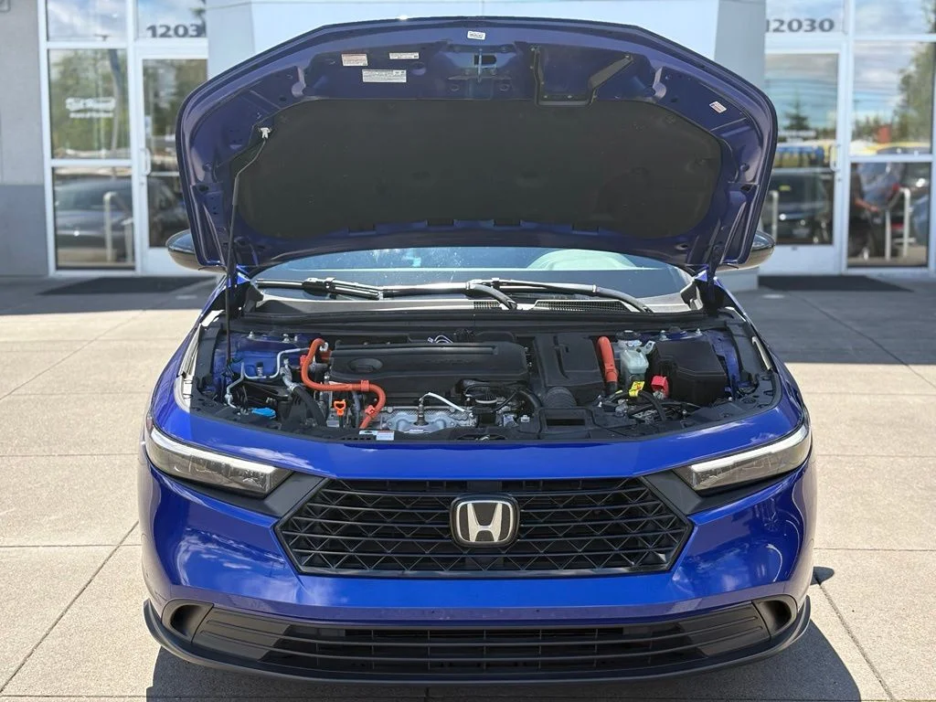 Used 2024 Blue Honda Sport image 3