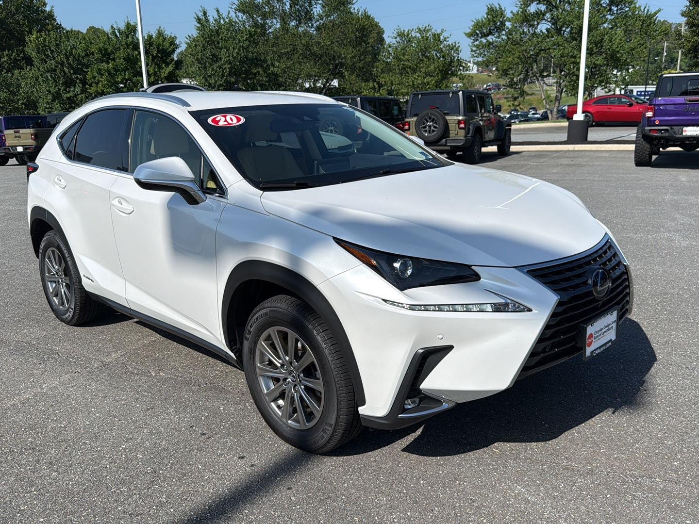 2020 Lexus NX 350h 300h AWD's photo