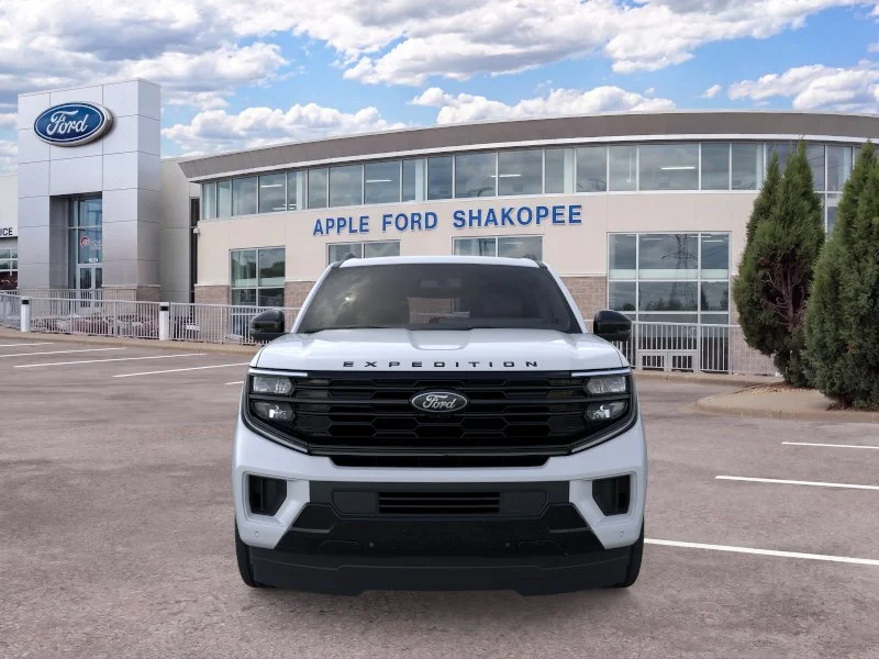 New 2026 Silver Ford Platinum image 29