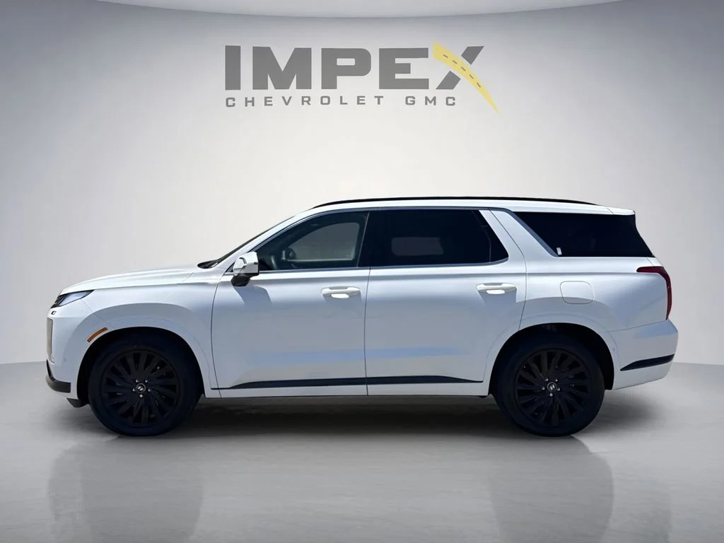 Used 2025  Hyundai Calligraphy Night Edition image 2