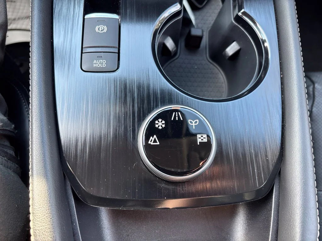 Used 2024 Gray Nissan Platinum image 31