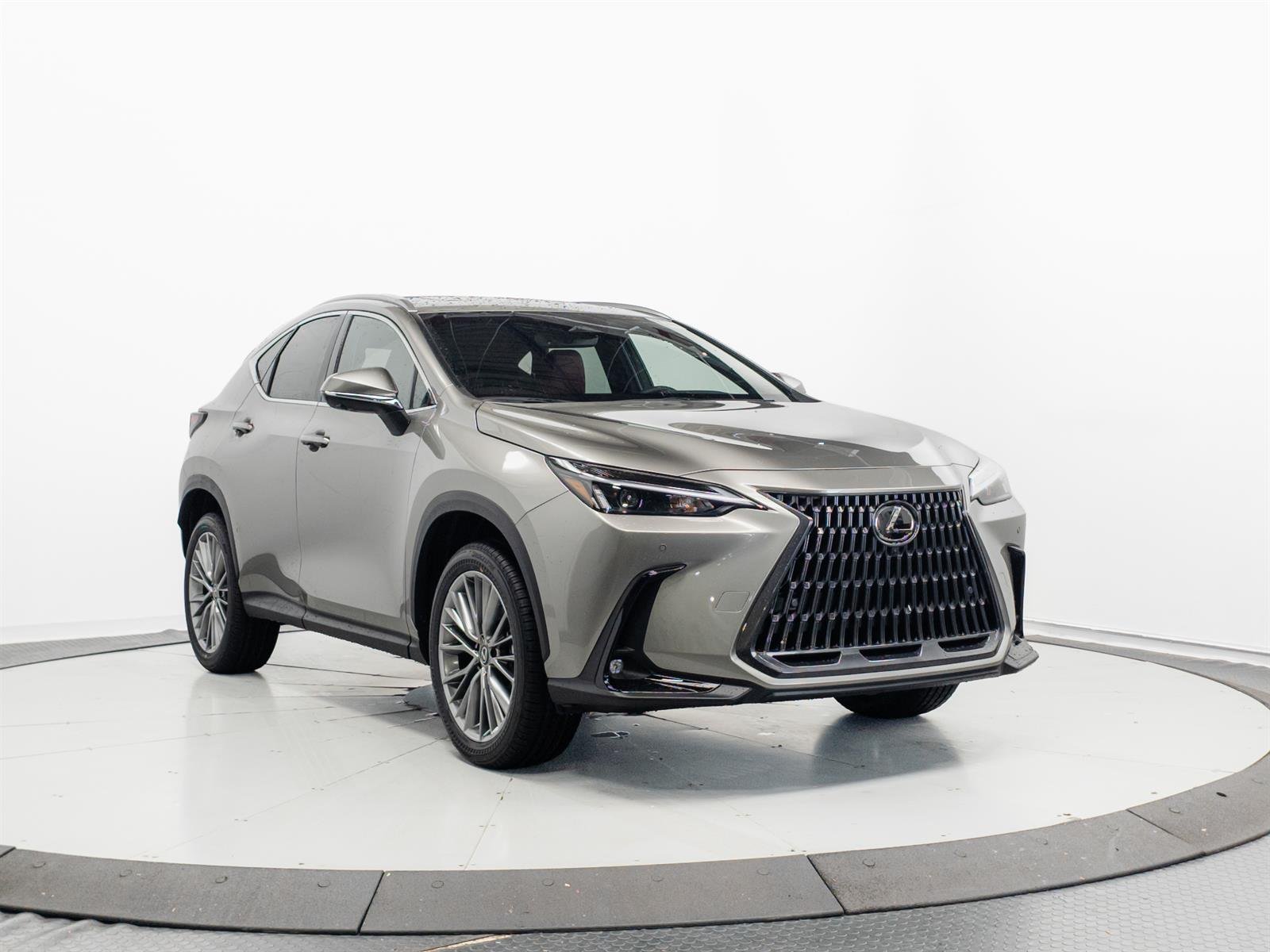 2026 Lexus NX