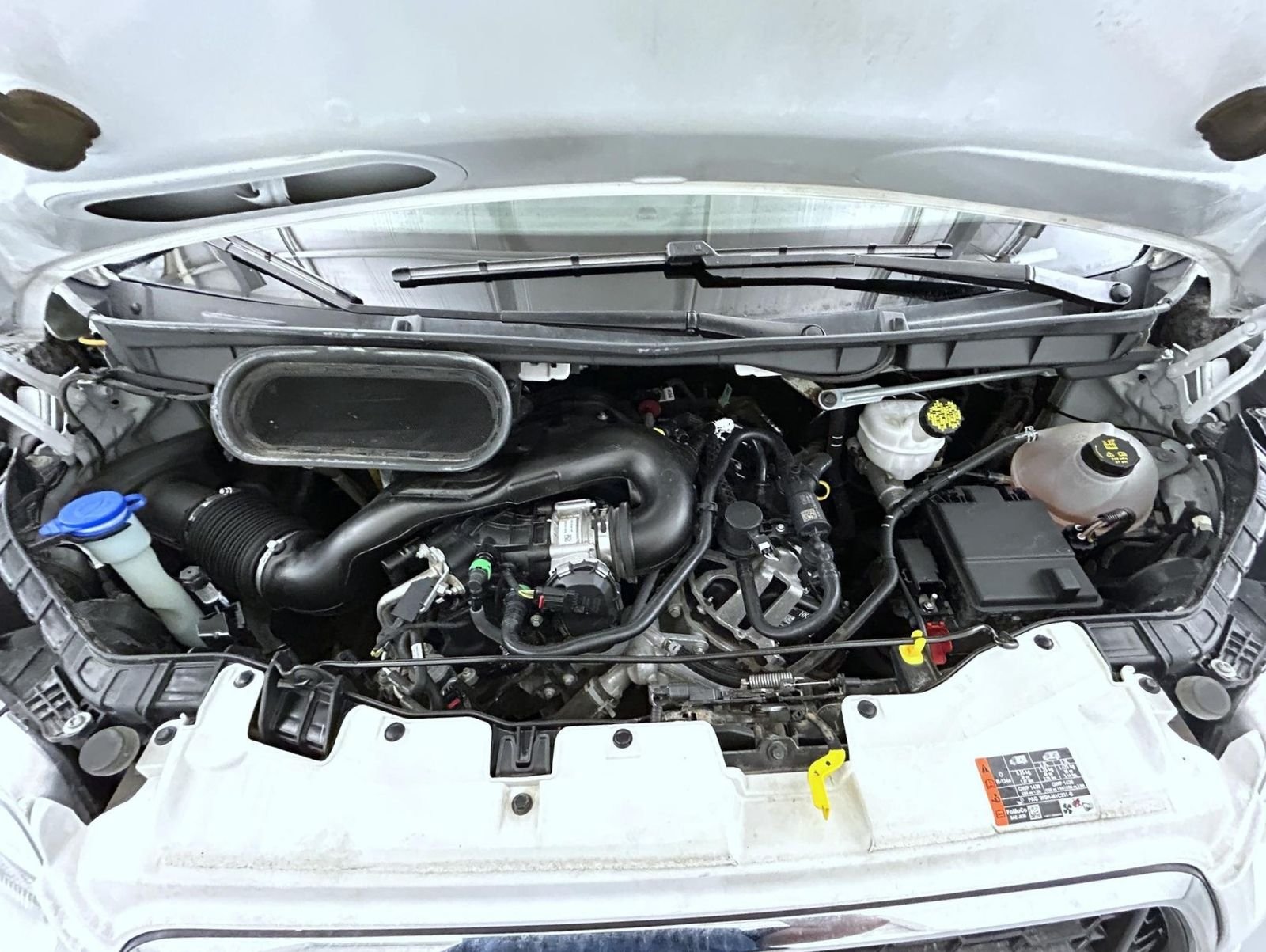 Used 2022 White Ford XLT image 22