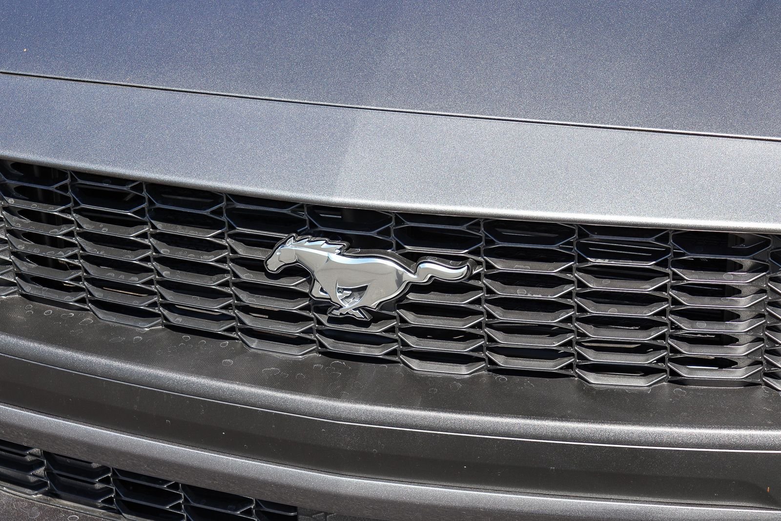 New 2026 Carbonized Gray Metallic Ford EcoBoost® Fastback image 11