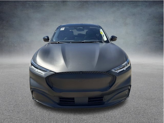 Used 2023 Blue Ford California Route 1 image 5