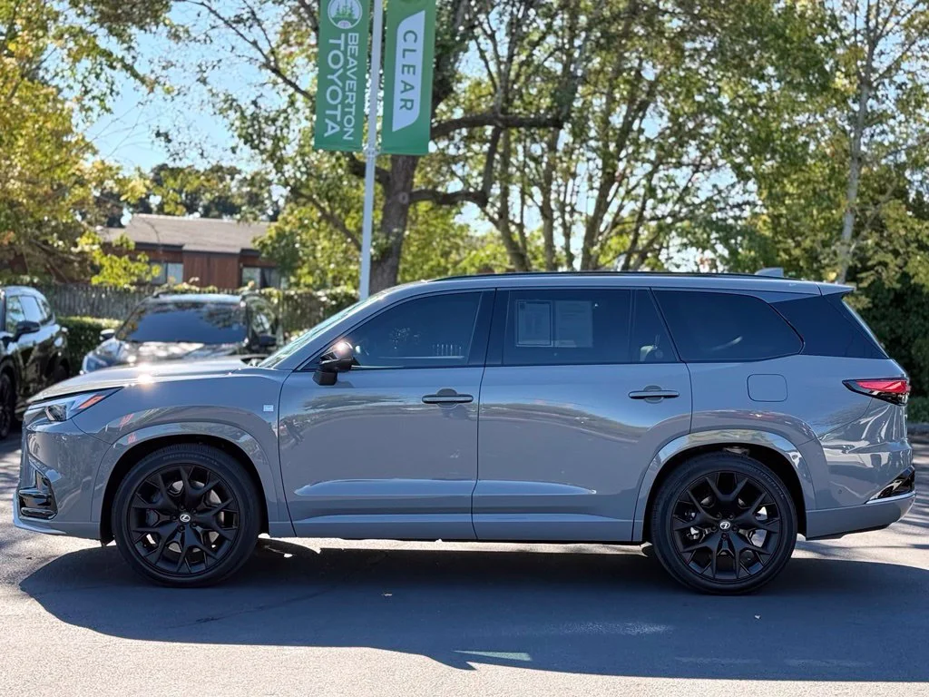 5TDAAAB66TS060617