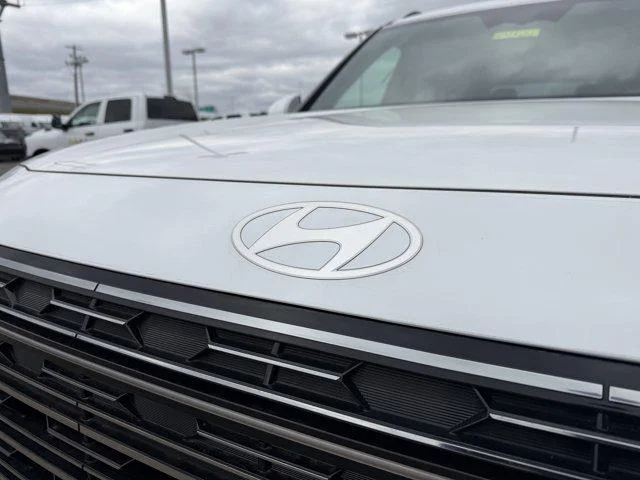 2026 Hyundai Palisade Calligraphy - Photo 17