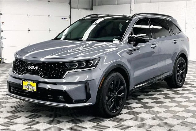Used 2022 Everlasting Silver Kia SX-Prestige image 11