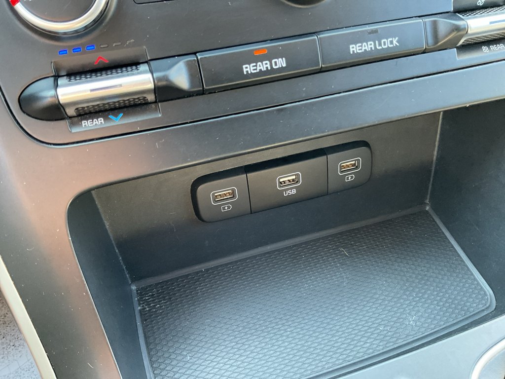 Certified Used 2024 Panthera Metal Kia LX image 28