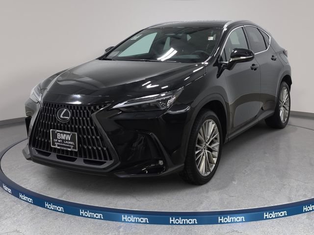 2025 Lexus NX 350 350 Luxury AWD's photo
