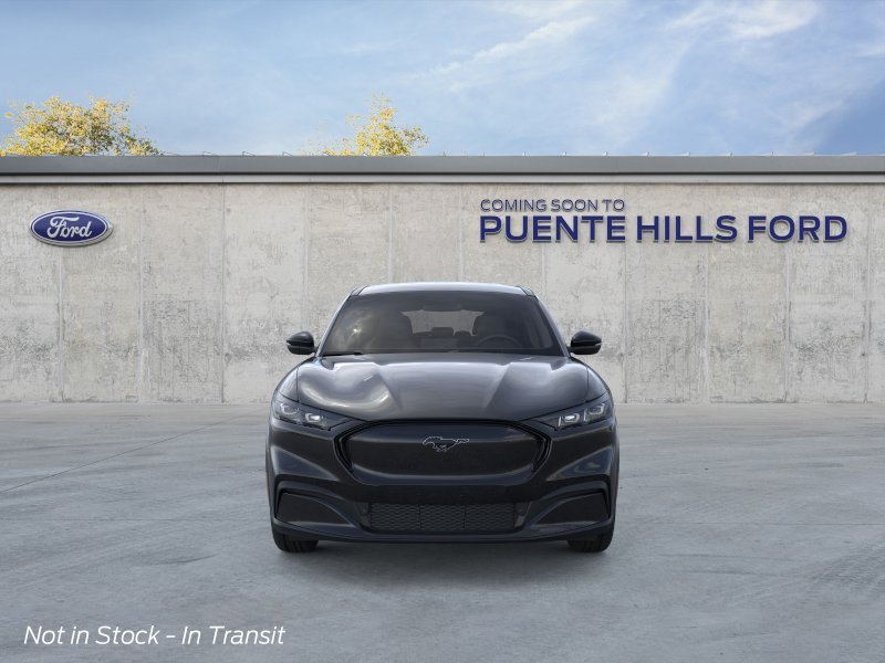 New 2026 Shadow Black Ford Premium image 6