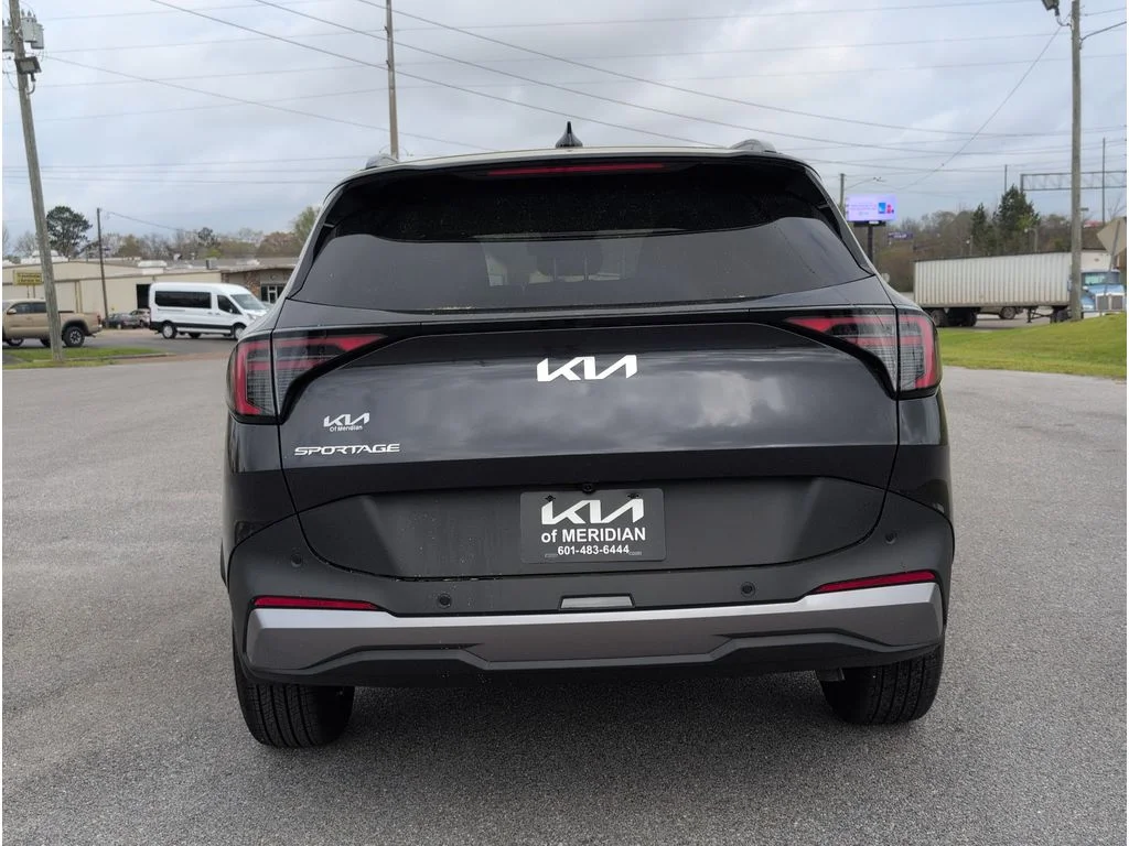 New 2026 Panthera Metal Kia EX image 4
