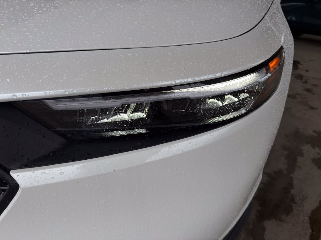 New 2026 Platinum White Pearl Honda SE image 9