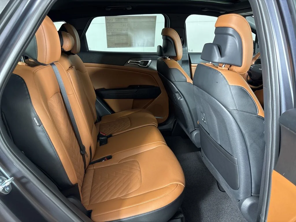 New 2026 Panthera Metal Matte Kia X-Line image 21