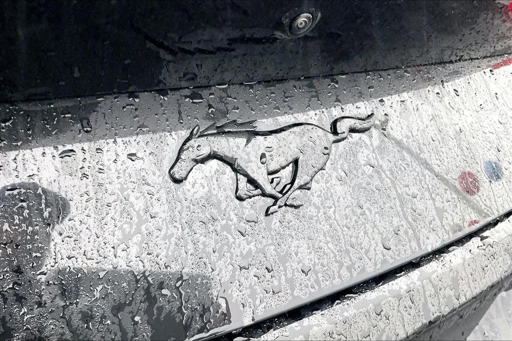 New 2026 Shadow Black Ford EcoBoost® Fastback image 30
