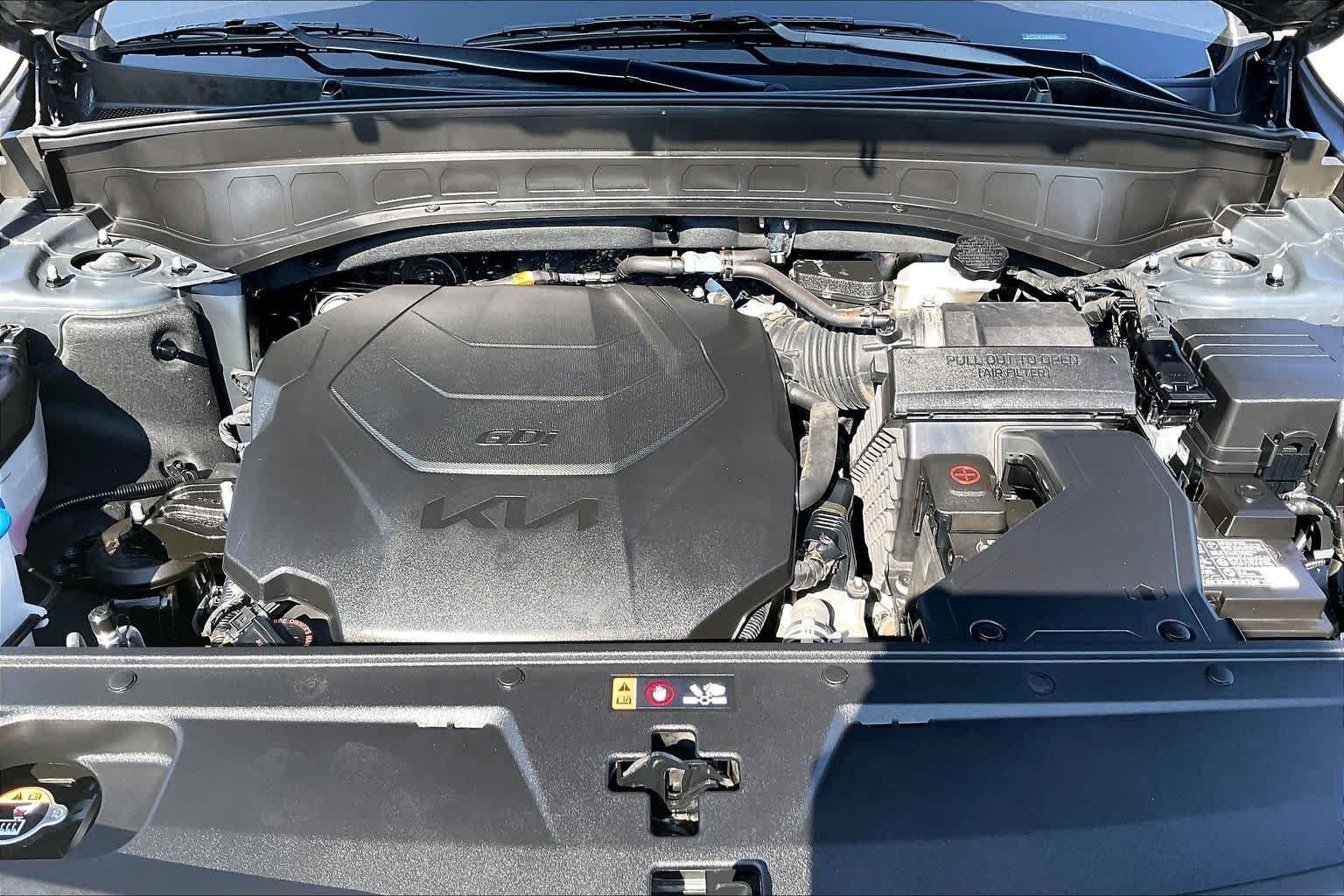 Used 2025 Panthera Metal Kia S image 30