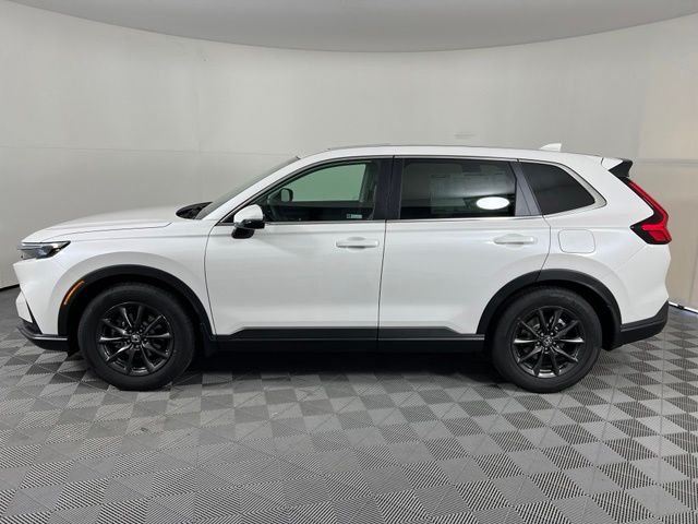 New 2026 White Honda EX-L image 4