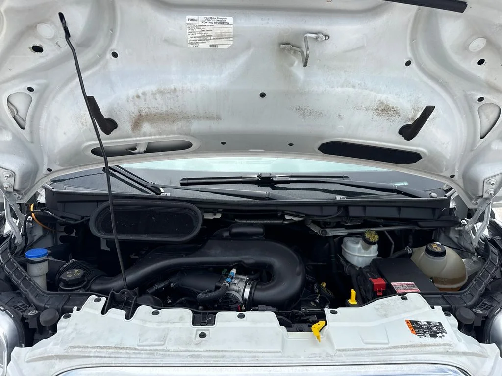 Used 2019 White Ford Base image 26