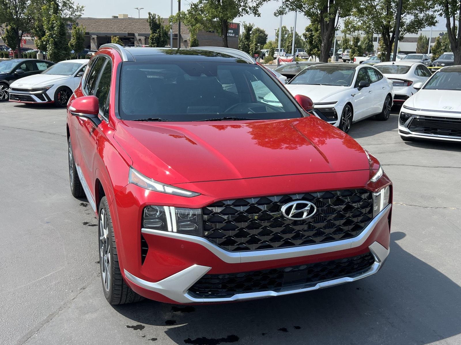 Used 2022 Calypso Red Hyundai Calligraphy image 12