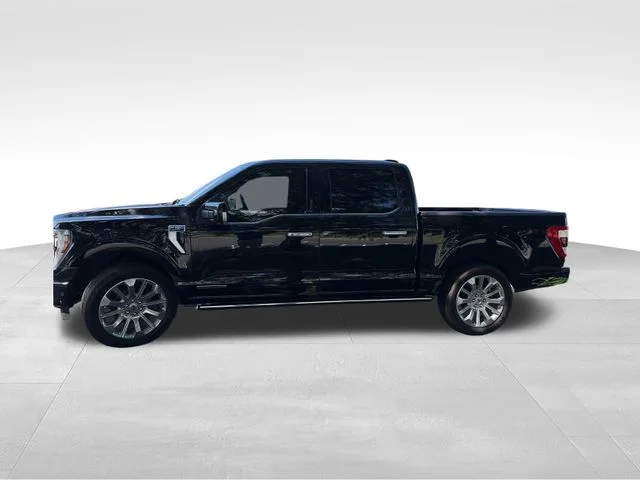 Used 2023 Black Ford Limited image 3