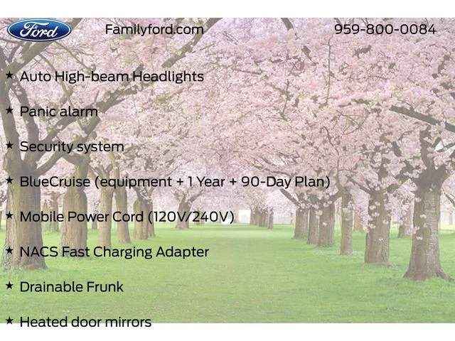 New 2026 Glacier Gray Metallic Tri-coat Ford Premium image 40