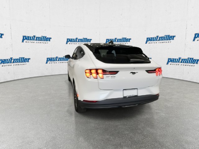 New 2026 White Ford Premium image 9