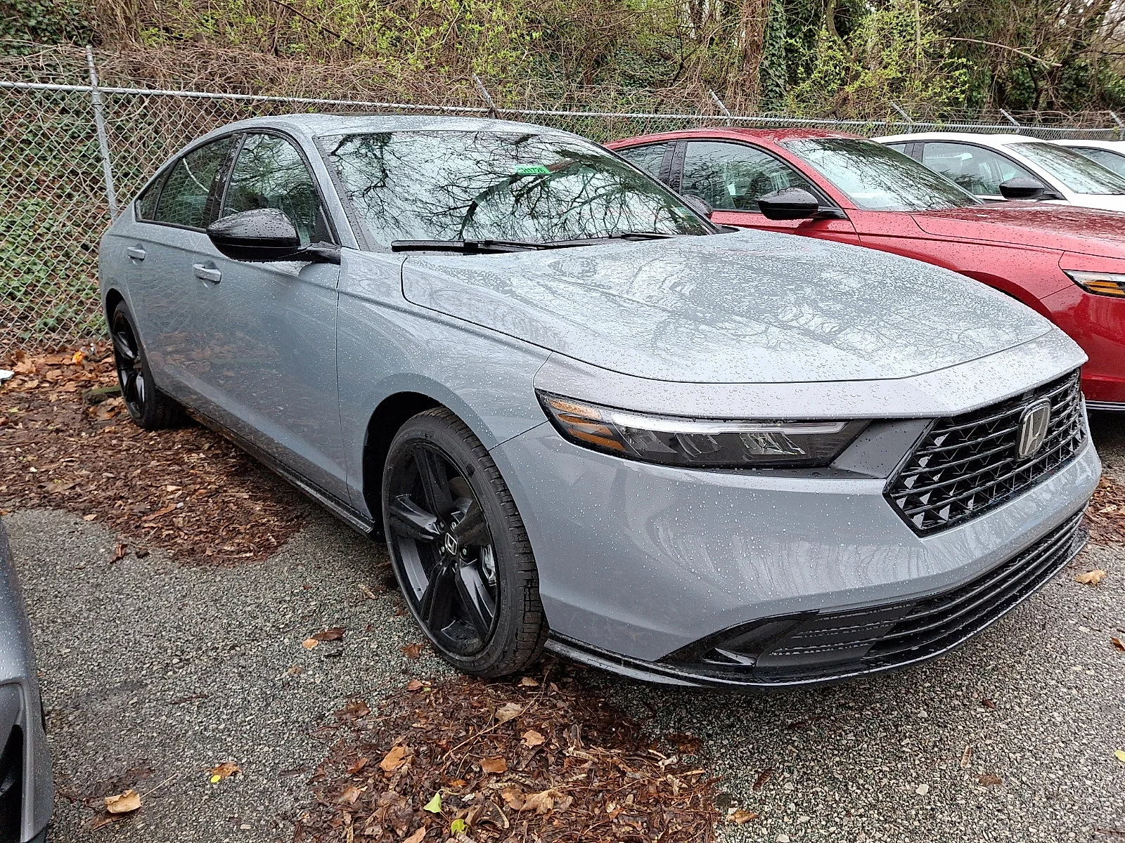 New 2026 Urban Gray Pearl Honda Sport-L image 3