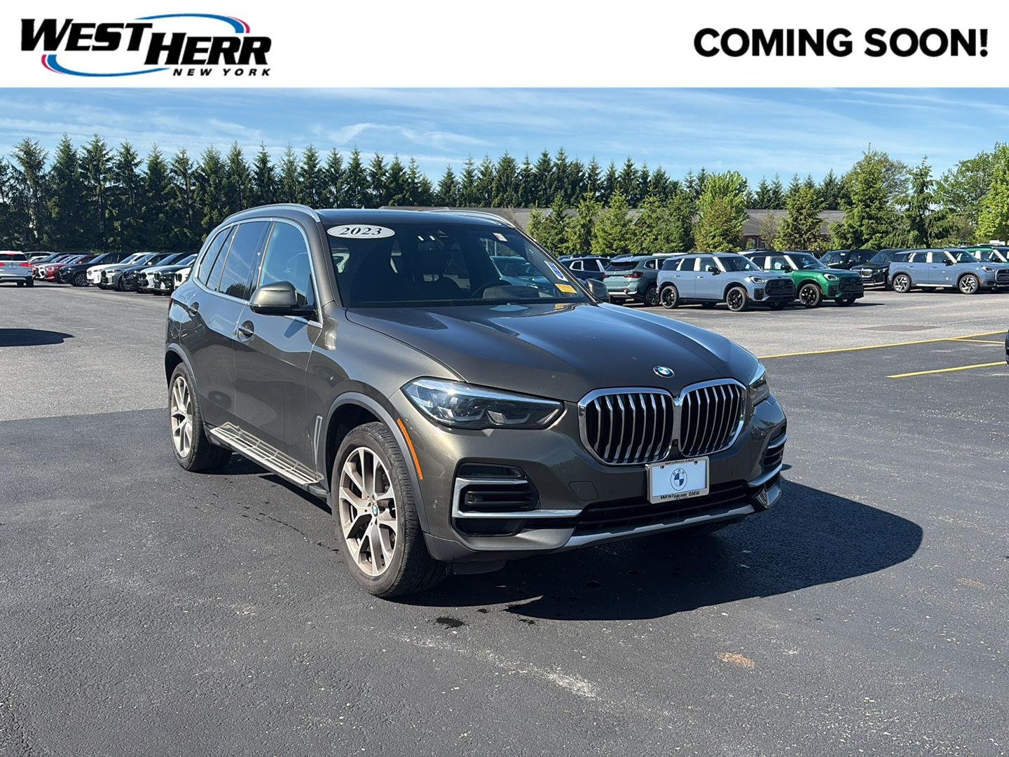 2023 BMW X5 xDrive40i's photo