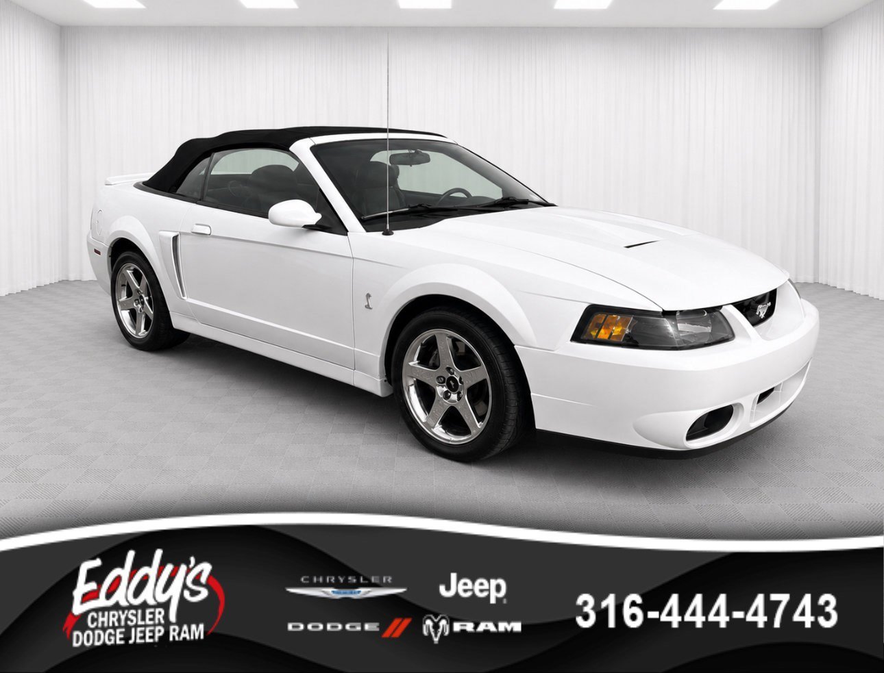 2004 Ford Mustang 4.6 Cobra SVT's photo
