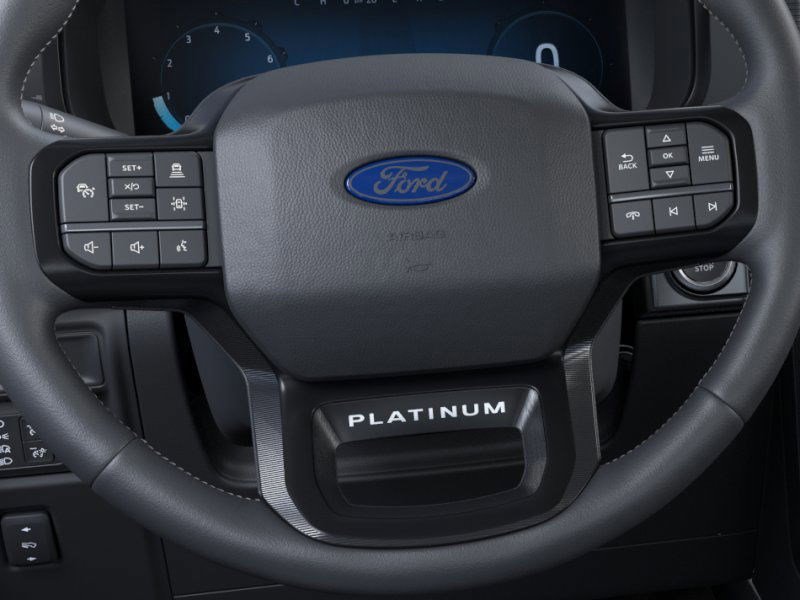 New 2026 Agate Black Metallic Ford Platinum image 13